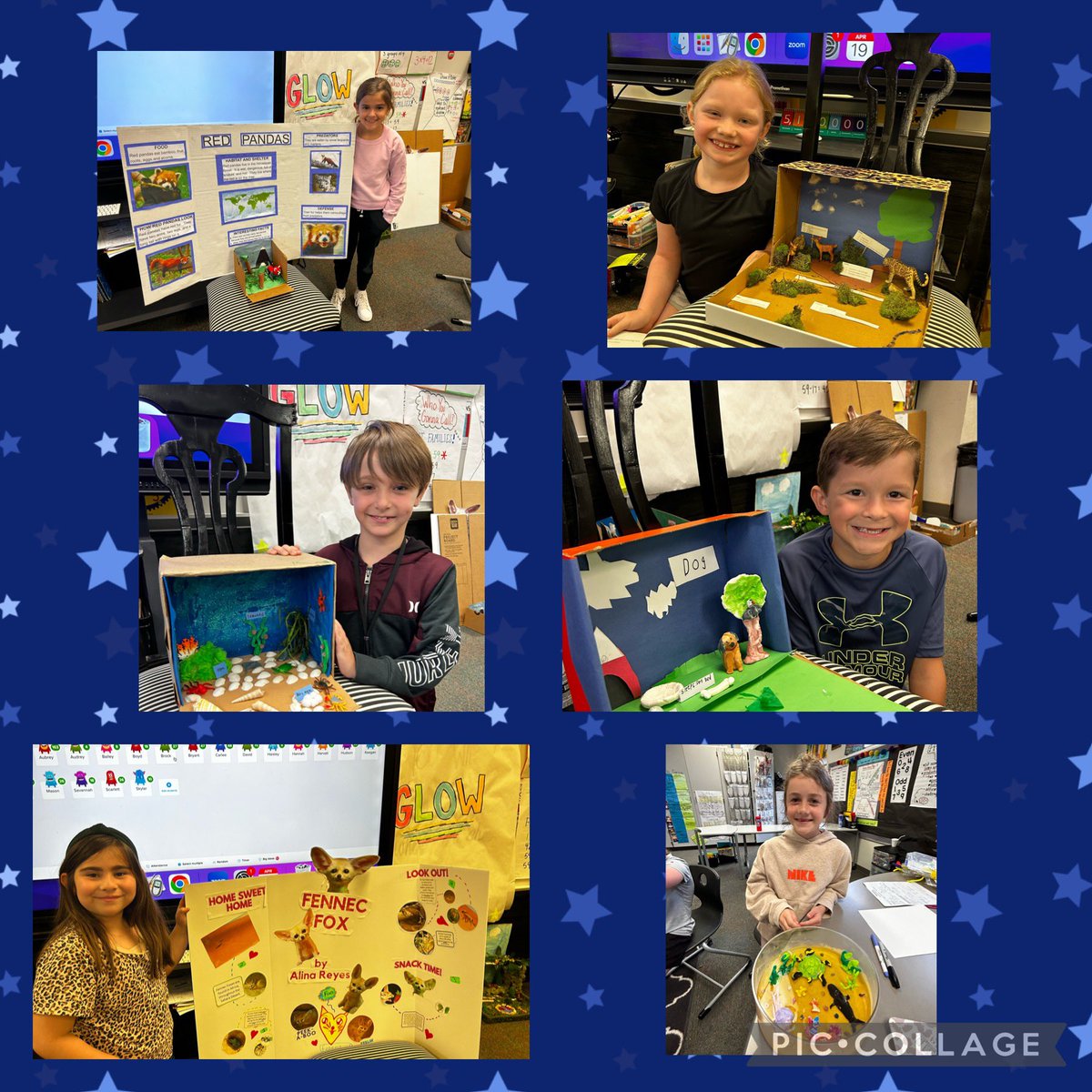 LitkeAngie's tweet photo. These kiddos did an amazing job on their animal research projects!  @Longbranch_Elem #misdproud https://t.co/wQa3PaqjZR