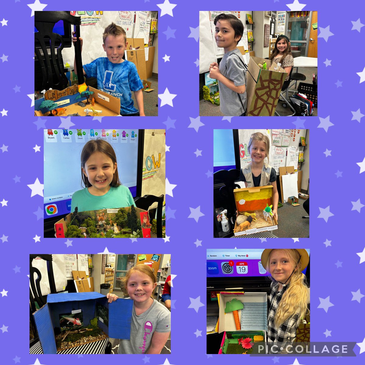 LitkeAngie's tweet photo. These kiddos did an amazing job on their animal research projects!  @Longbranch_Elem #misdproud https://t.co/wQa3PaqjZR