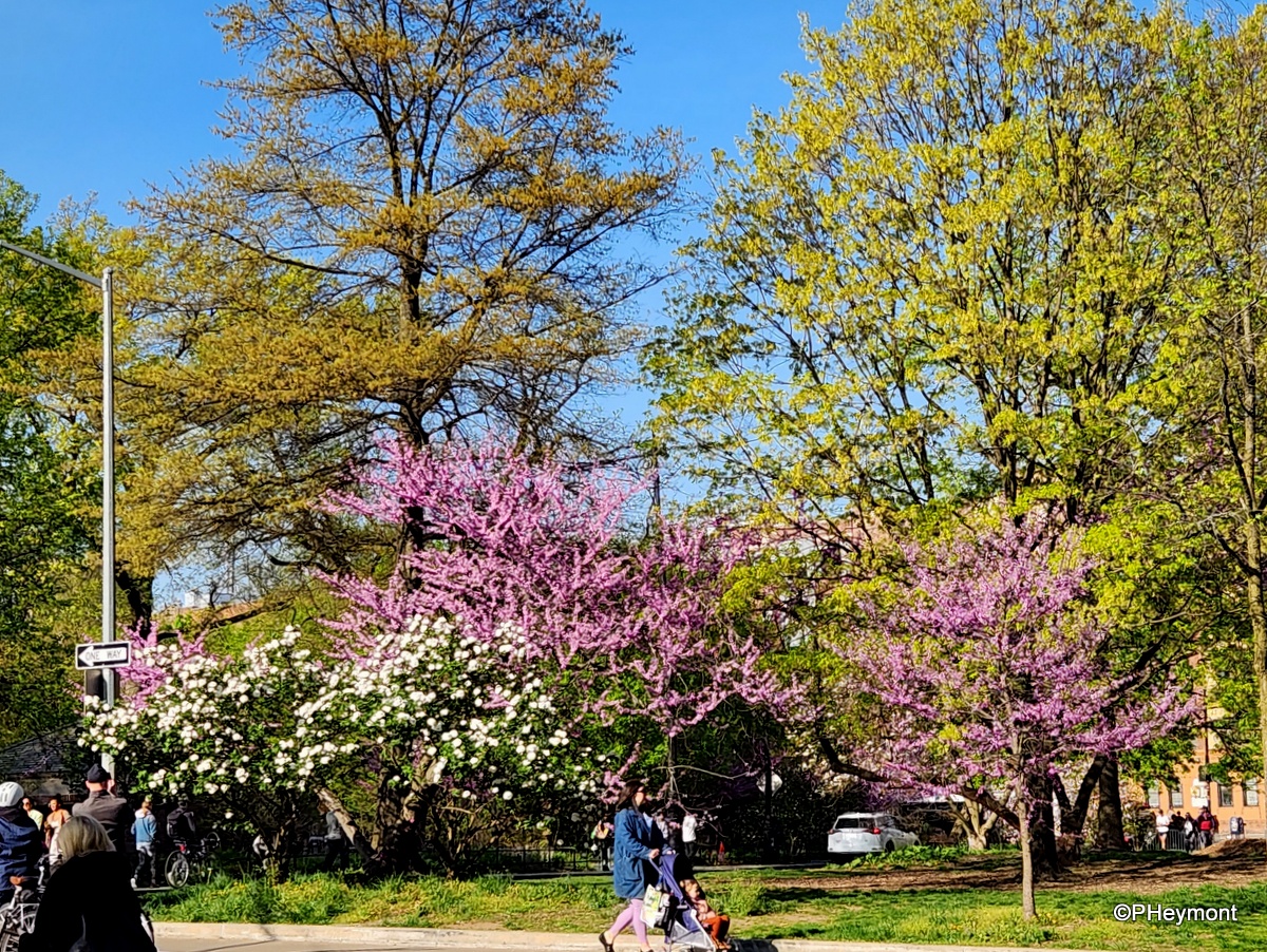 TravelGumbo's tweet photo. #GumboOnTheGo! #ttot
#Spring is #MoreThanGreen in #ProspectPark #Brooklyn
TravelGumbo
By Travelers, for Travelers
https://t.co/GYlDYuv3Rt https://t.co/zTr2LSFefj