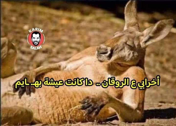 لما تقضي العيد لاول مرة وانت متخرج ومش مزنوق زنقة الامتحانات 😋😋