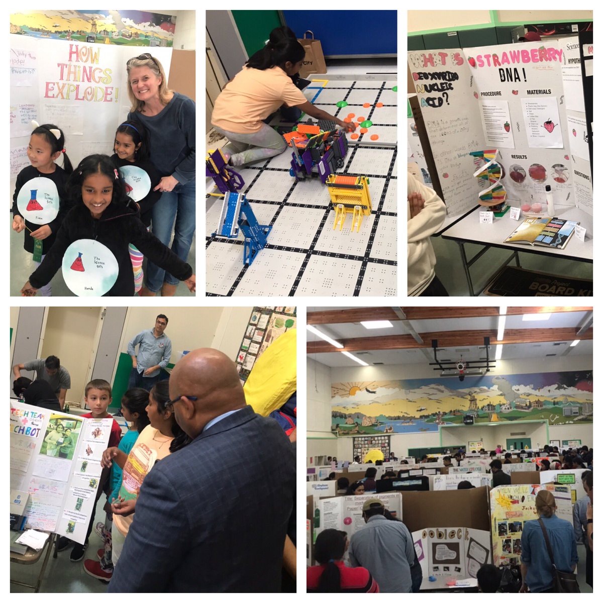 WGroadrunners's tweet photo. Science Fair tonight at The Grove. Wall to wall with student projects they were interested in learning about. Thank you to our Science Specialist Mrs. Medeiros Mollo for all her great work to make this successful. https://t.co/eFlETBm5wp