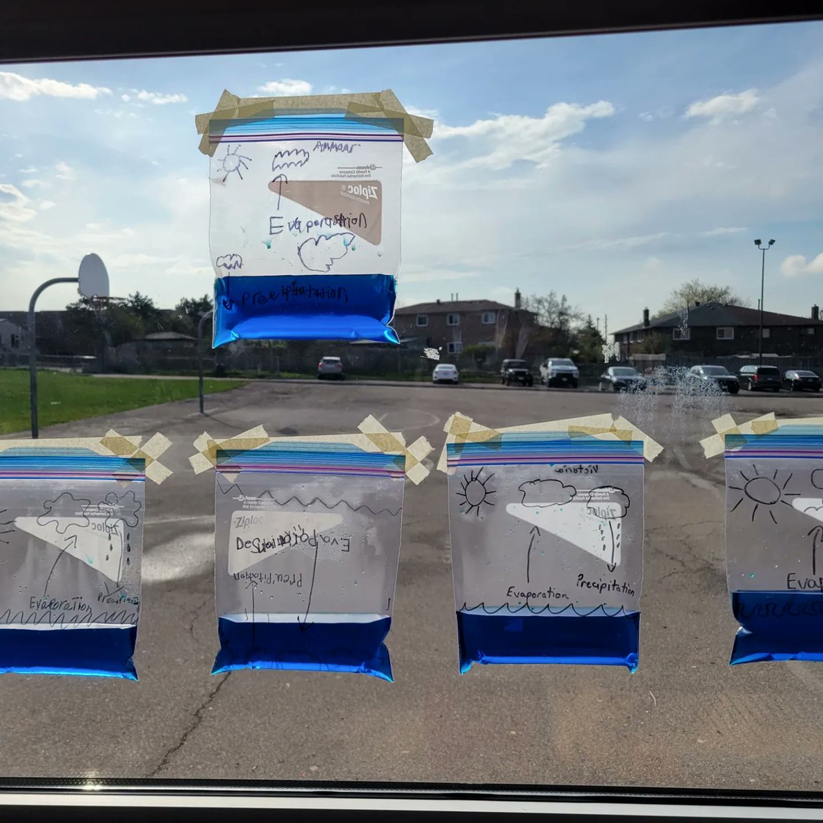 Our water cycle in a bag.  The ckass had fun making them and they were excited when they could see the water cycle happening.   <a href="/NERapids/">Nibi Emosaawdang</a>