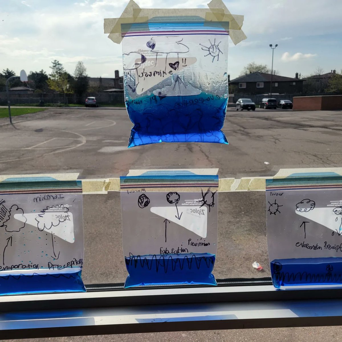 Ingrid Mitchell tweet media