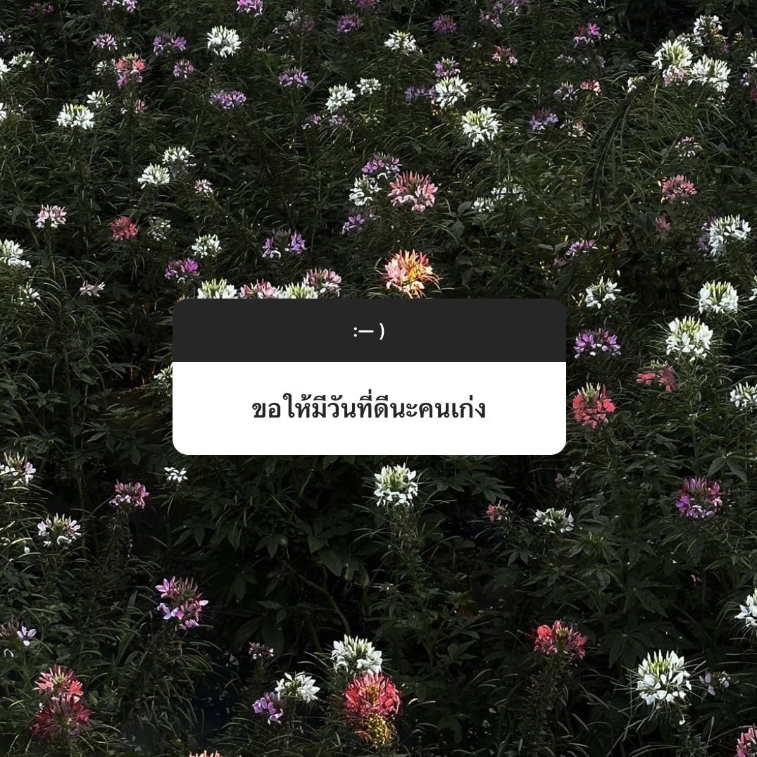 hello friday,