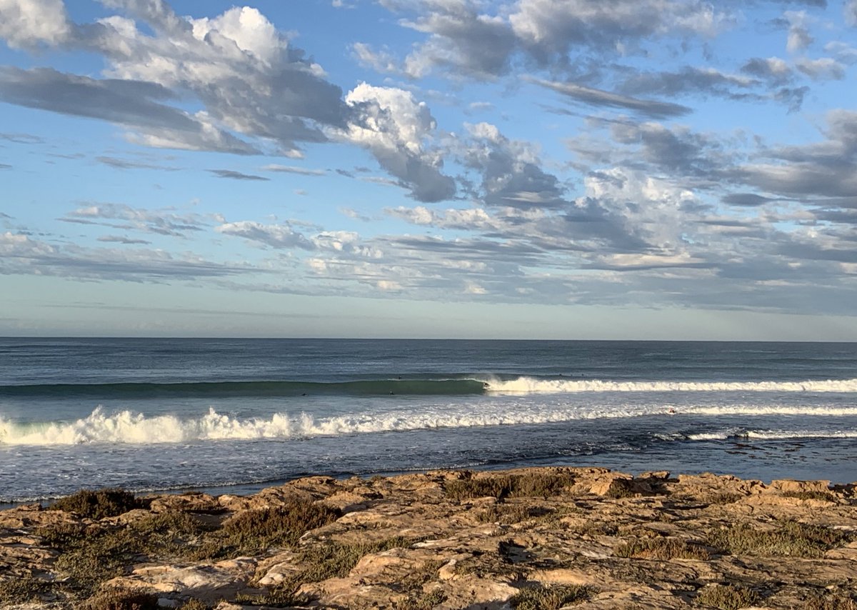 Tom Rabe tweet media