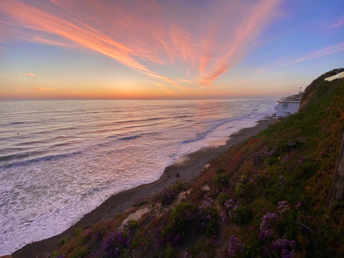 April Wensel tweet media