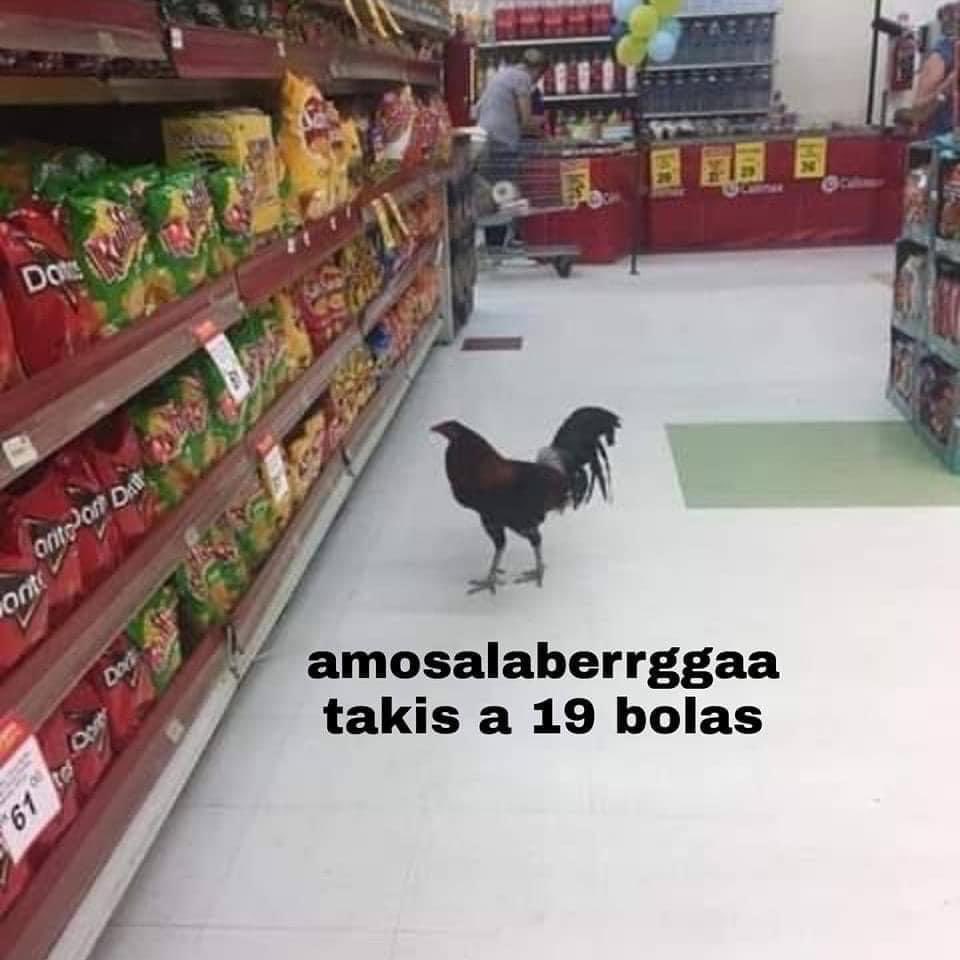 memesenlosgenes's tweet photo. https://t.co/60GeCjw4eD