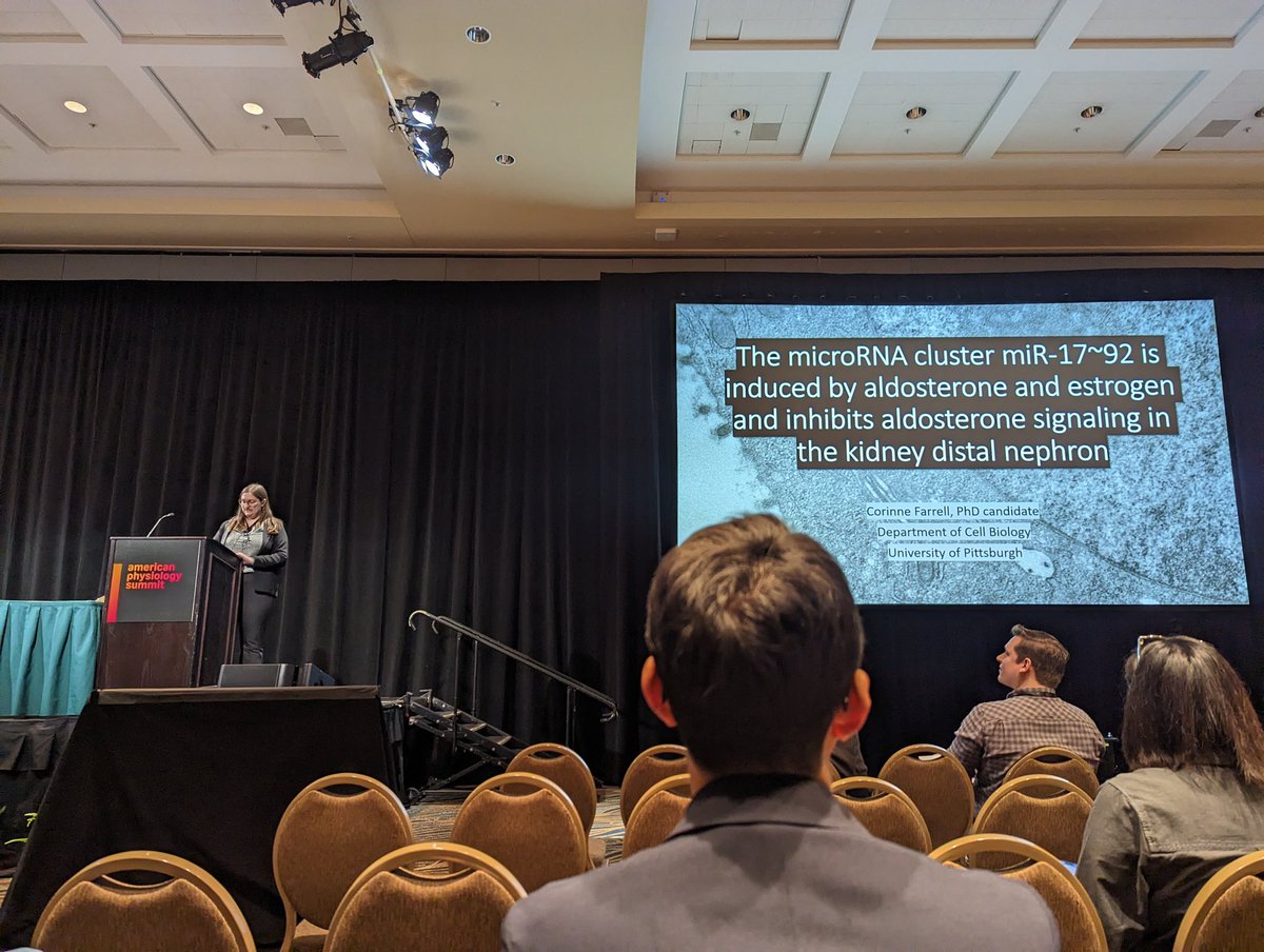 miRNerd's tweet photo. This was fun!! Thanks for letting me talk in front of this great group of physiologists 😊 @APSETG @somgradpitt https://t.co/Jw6AWoVdnD