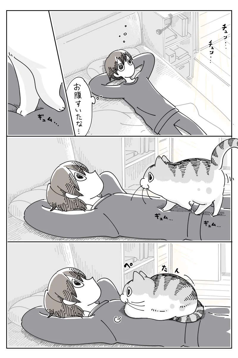 お腹の音が気になっちゃう？とっても可愛い「猫漫画」が話題に！