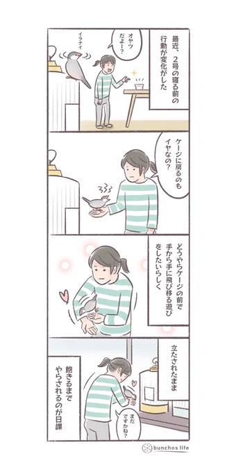 最近の寝る前の日課
#文鳥 
#4コマ漫画 

*過去作ダウンロードできます!(固定ツイート参照) 