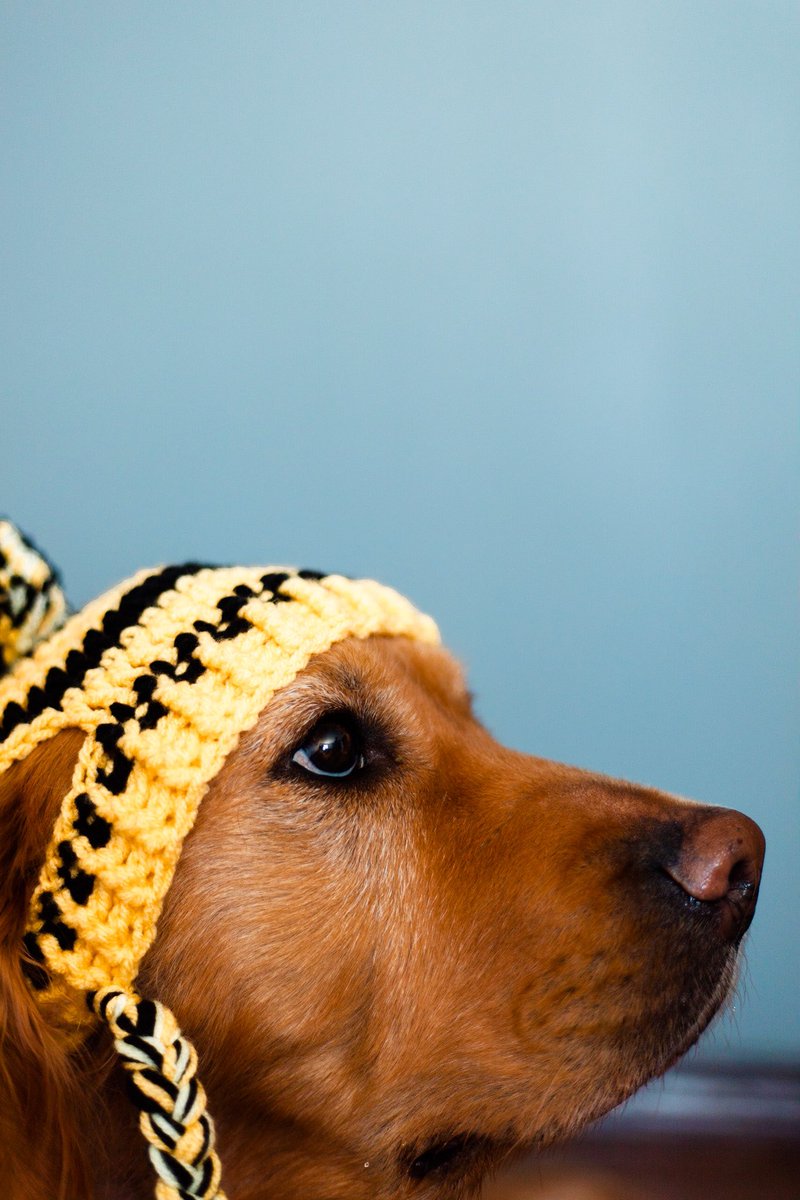 Bumble bee beanies available now