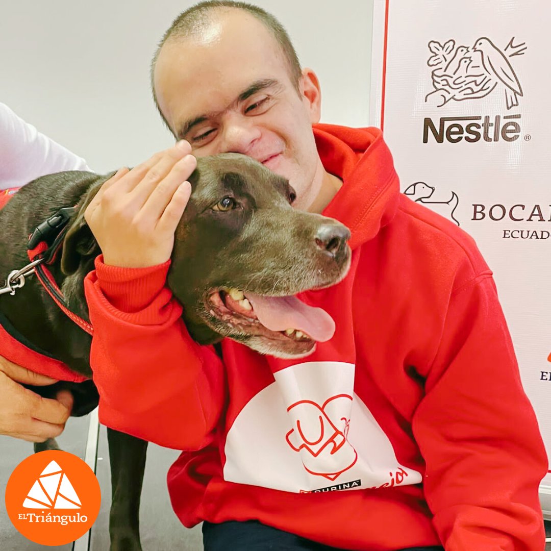 🙂 Hoy fue un día emocionante en @eltrianguloecuador! Nos reunimos junto a <a href="/nestleecuador/">nestleecuador</a>  y <a href="/bocalanecuador/">bocalanecuador</a>  para dar inicio a un proyecto que nos llena de orgullo, por medio del cual nuestros estudiantes recibieron a sus nuevos compañeros 🐶🐶🐶. #JuntosEsMejor.