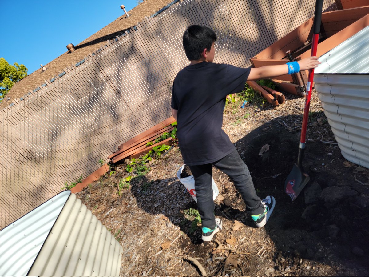 SunTerraceASP tweet media