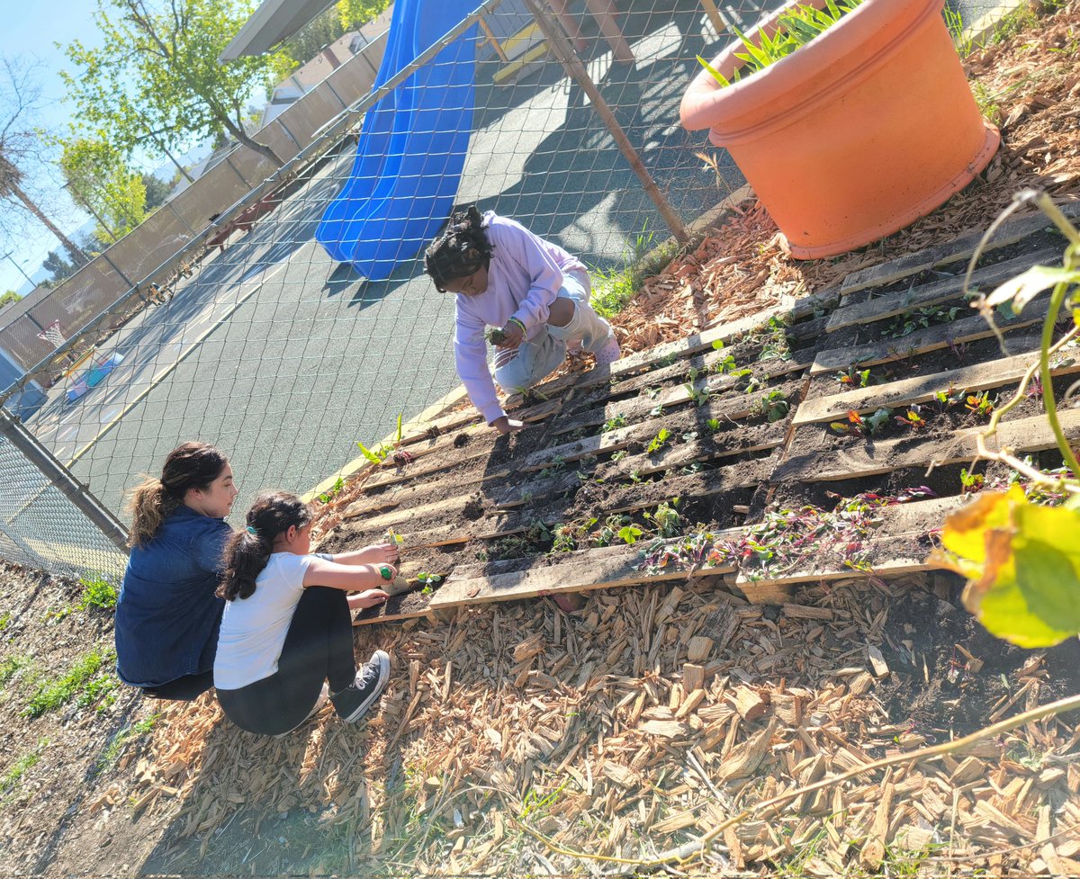 SunTerraceASP tweet media