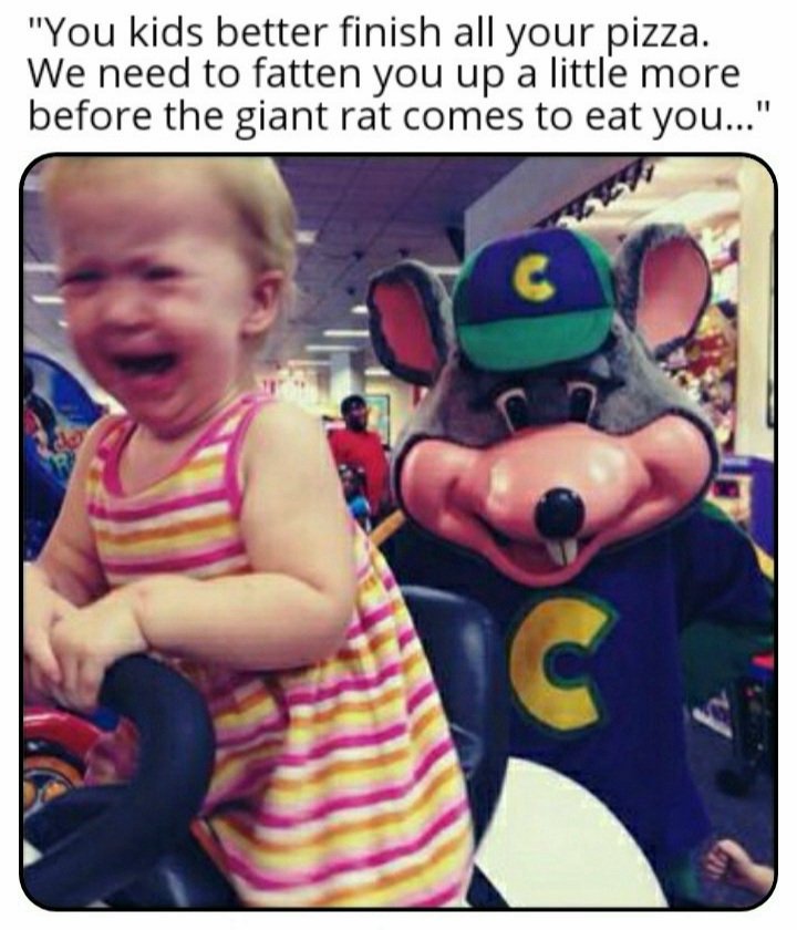 Phoenix Elgato AKA Phoenix The Cat (@phoenix_elgato) on Twitter photo 