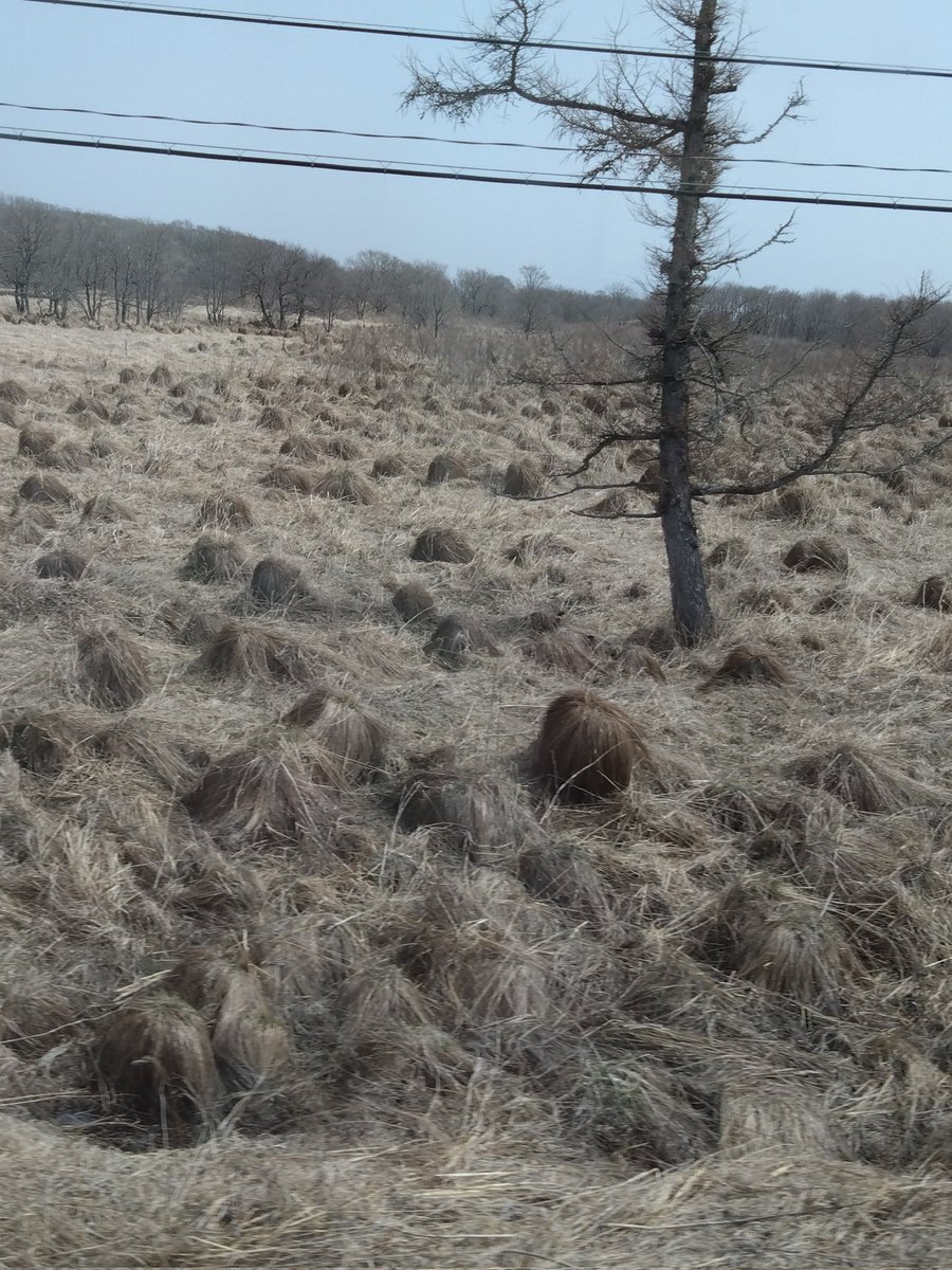 これ、完全に人の頭混ざってない？？ https://t.co/hjbvVkgv63