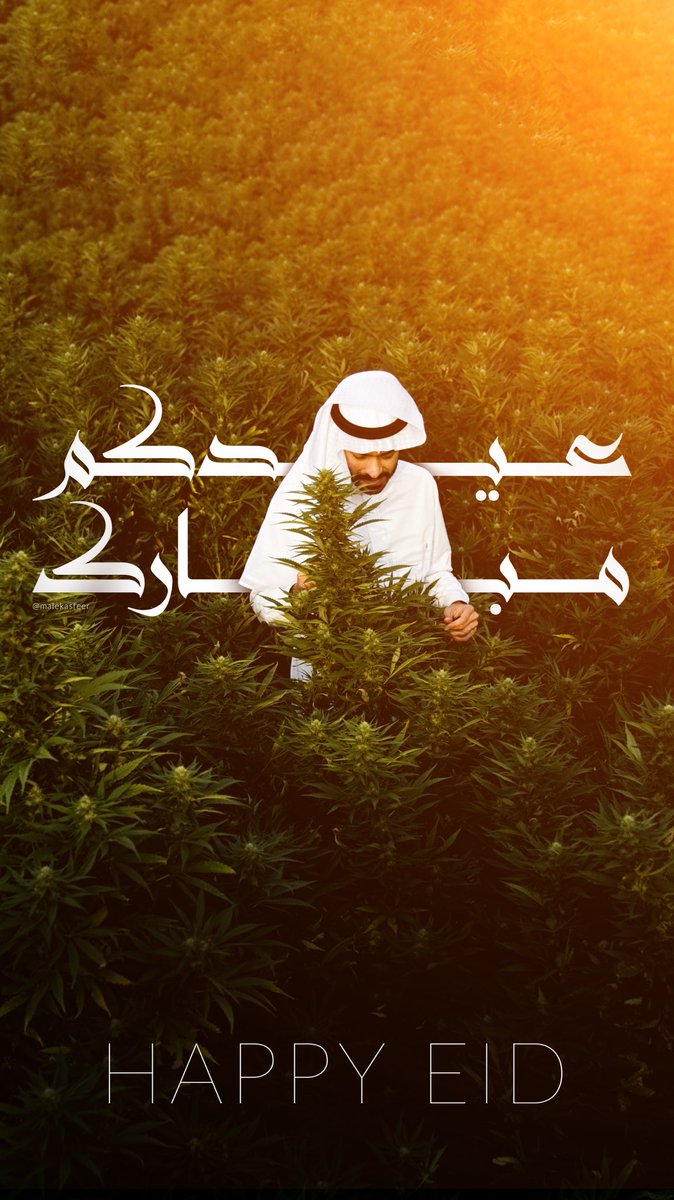 Malek Asfeer tweet media