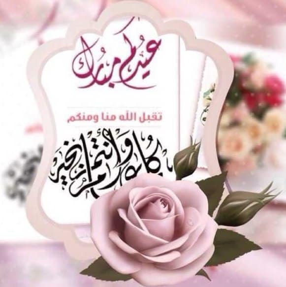 SalkhalifaDr's tweet photo. @Prof_AlHoqail https://t.co/pkwkteMqZw