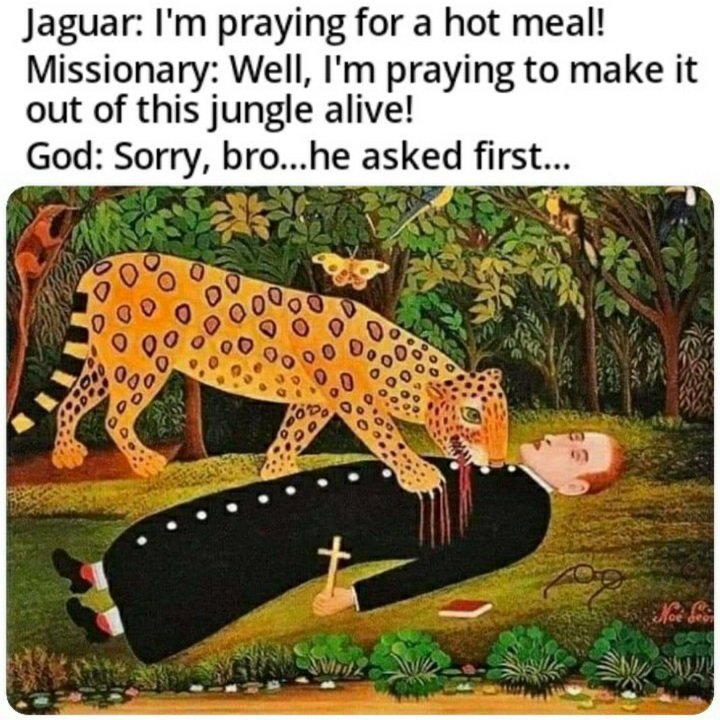 Phoenix Elgato AKA Phoenix The Cat (@phoenix_elgato) on Twitter photo 