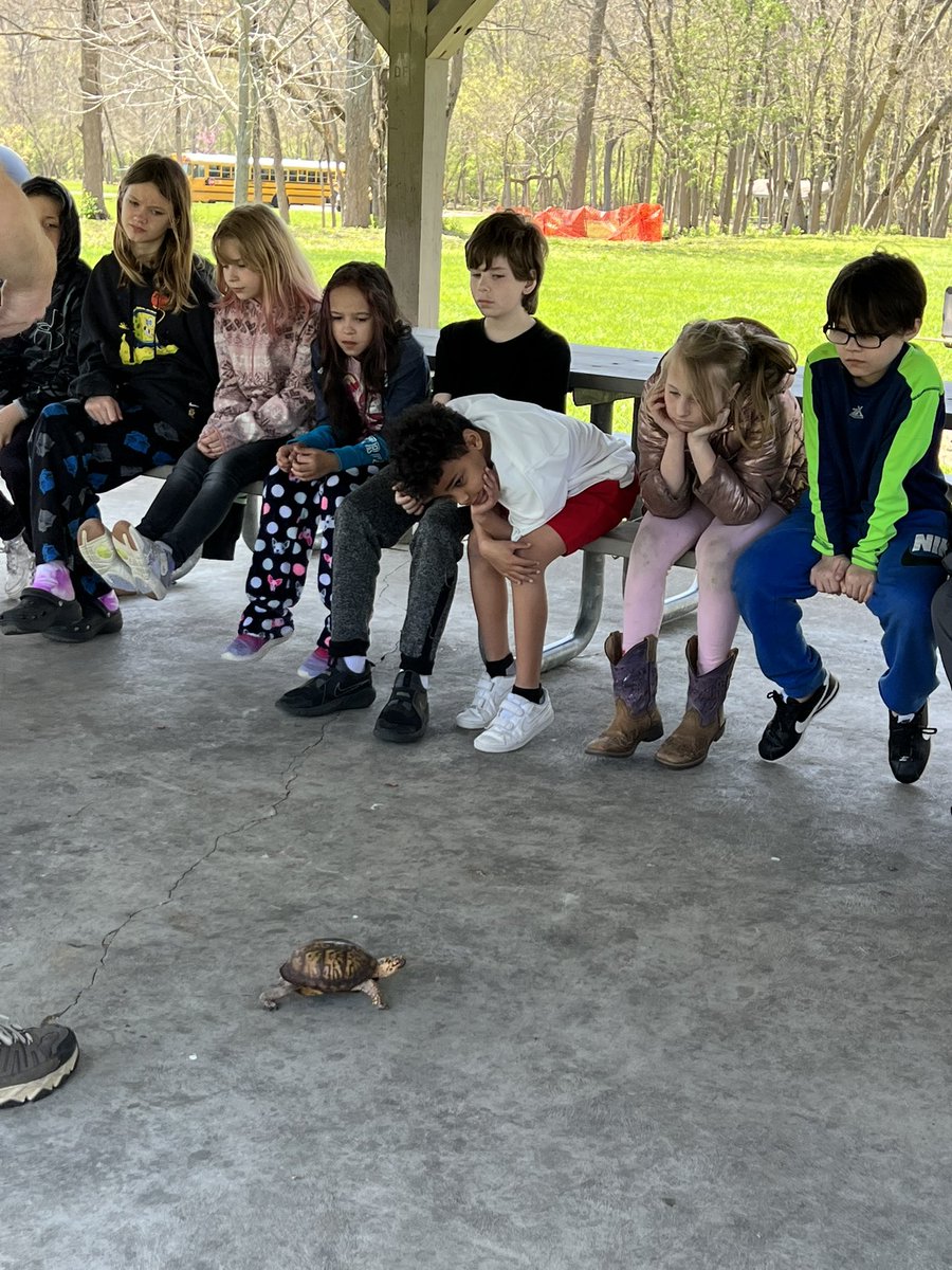 MrsH_SPED's tweet photo. Yesterday, our 3rd and 4th students took a field trip to a local park to learn about how animals move and live in their local habitats. Turned out to be a beautiful day! @AmandaEleTweets @MiddletownOH https://t.co/8SKTlWn9Gn
