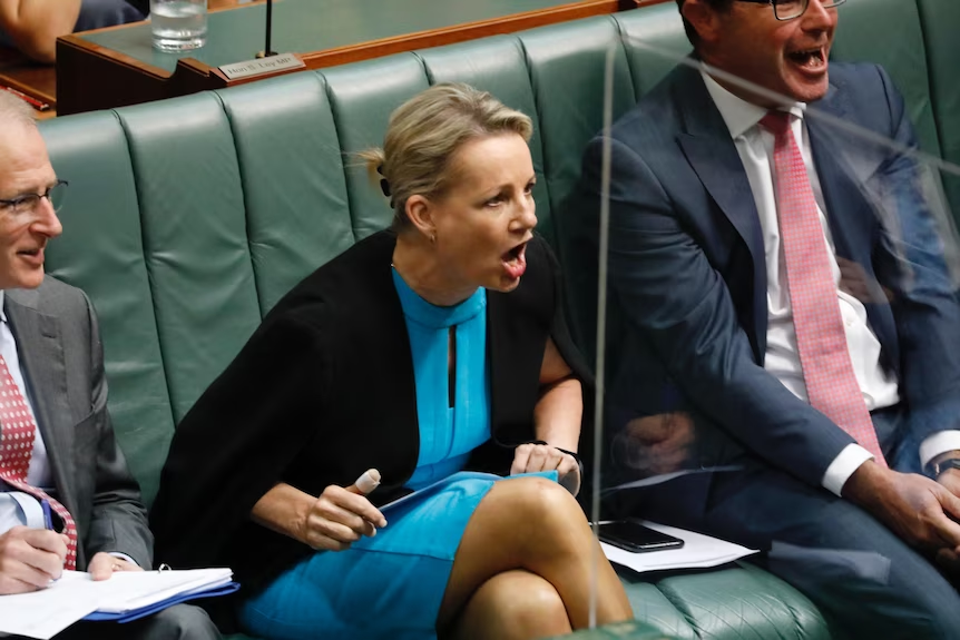 BREAKING: Sussan Ley Furious That The Albanese Government Only Released The Solicitor General's Advice And Not The Ssolictor General's Advice. #auspol