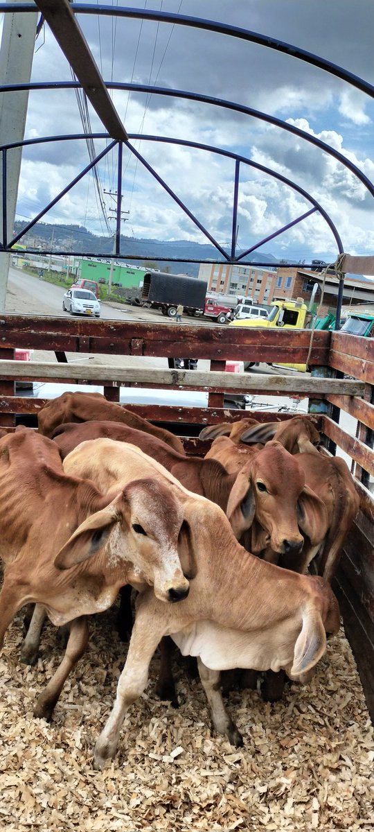 Aún sigo con mente positiva 🙏🙏