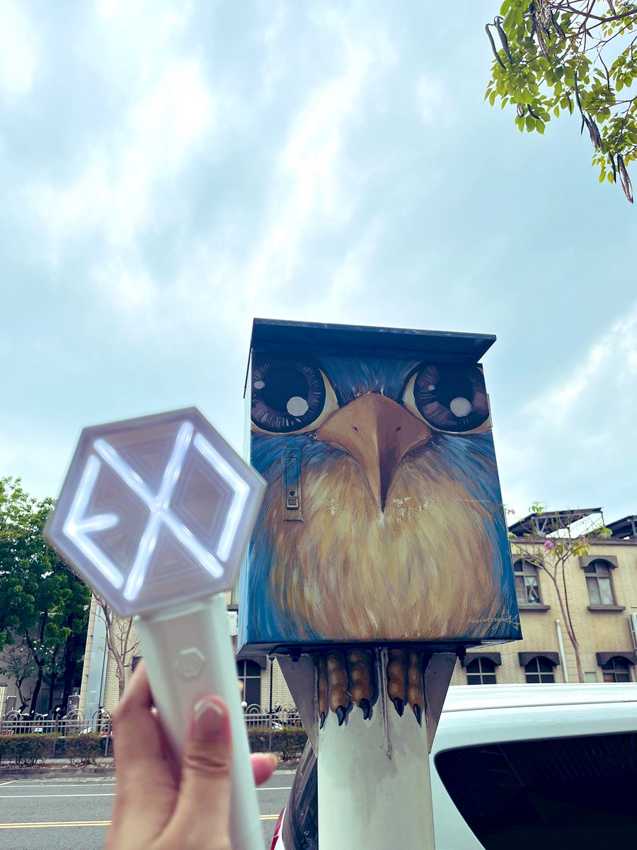 eri_kokobop's tweet photo. The forgotten owl 🦉#exoladder2 #exo https://t.co/1tBqywX26C