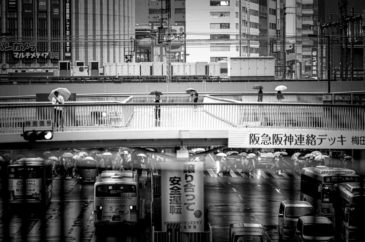 ba_matsu's tweet photo. 重層 https://t.co/ukOAVPcrAU