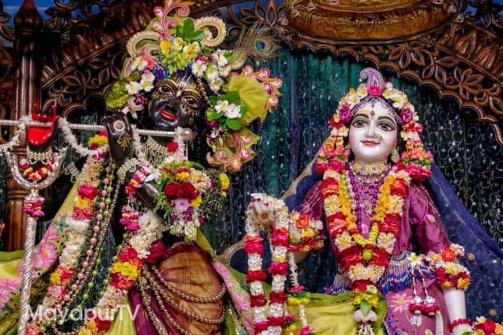 themonalisapaul's tweet image. Hare Krishna Hare Krishna..Krishna Krishna Hare Hare..Hare Ram Hare Ram..Ram Ram Hare Hare ❤❤❤ ✧༺♥༻✧
#MurliDhar #BasuDev #Gopal #TriLokeNath #Kanha #RadhaMadav #RadheRadhe #RadheKrishna #HareKrishna #HareMurari #ShriRadha #ShriKrishna