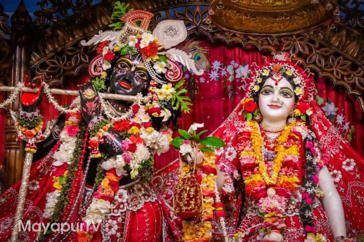 themonalisapaul's tweet image. Hare Krishna Hare Krishna..Krishna Krishna Hare Hare..Hare Ram Hare Ram..Ram Ram Hare Hare ❤❤❤ ✧༺♥༻✧
#MurliDhar #BasuDev #Gopal #TriLokeNath #Kanha #RadhaMadav #RadheRadhe #RadheKrishna #HareKrishna #HareMurari #ShriRadha #ShriKrishna