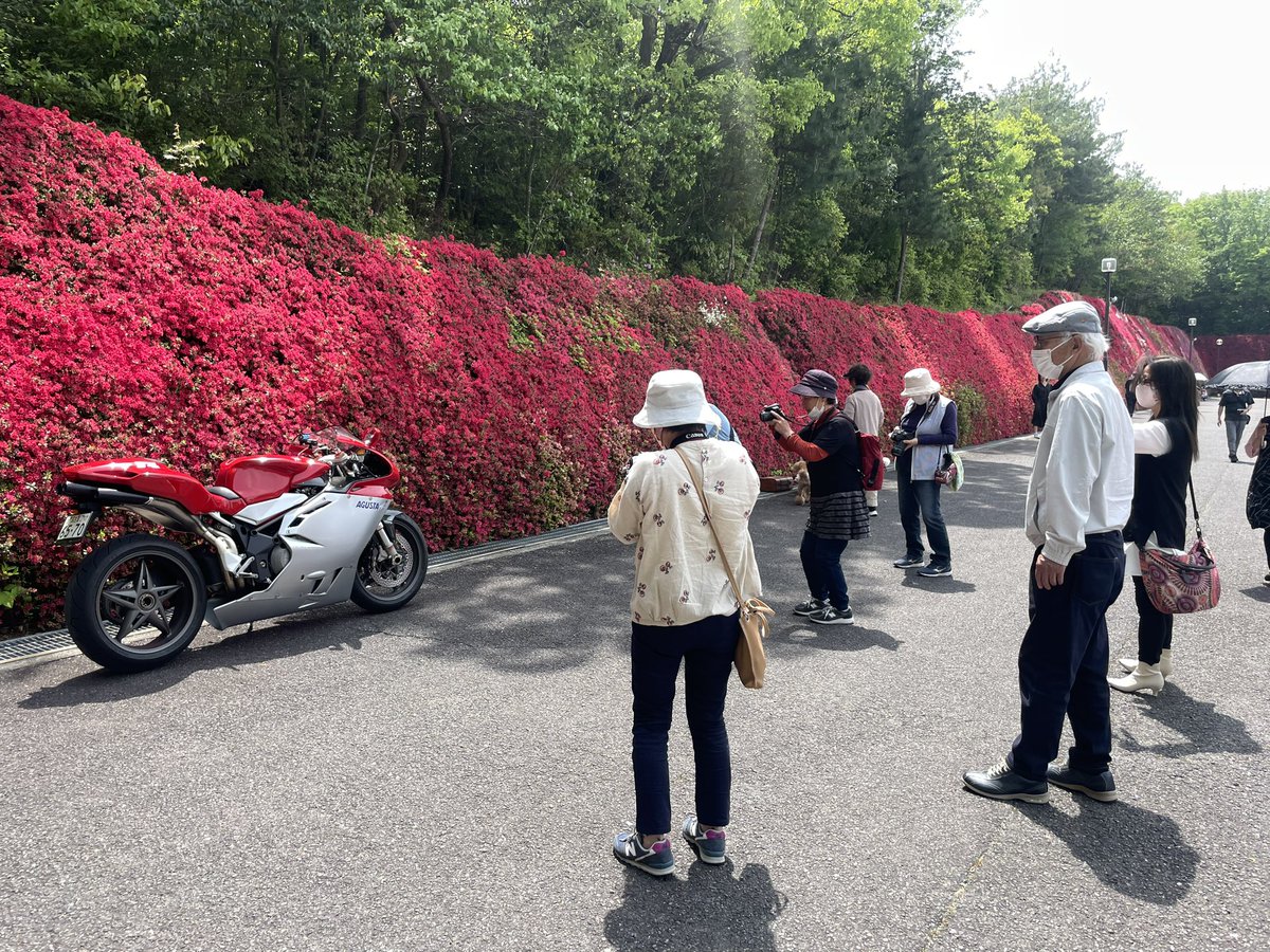 つどいの丘のツツジ🌺が見頃と聞いてF4の写真撮影に来ました😄写真撮ってる人が多くて1番端に停めたら…バイク撮らせてって沢山人が集まってF4撮影会になってしまいました💦
#Ducati#streetfighterv4s#v4
#mvagusta#f3rc#f4#f4s#f4 750s
#kawasaki#ninja#ninja150rr#2st