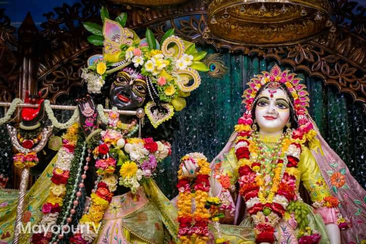 themonalisapaul's tweet image. Hare Krishna Hare Krishna..Krishna Krishna Hare Hare..Hare Ram Hare Ram..Ram Ram Hare Hare ❤❤❤ ✧༺♥༻✧
#MurliDhar #BasuDev #Gopal #TriLokeNath #Kanha #RadhaMadav #RadheRadhe #RadheKrishna #HareKrishna #HareMurari #ShriRadha #ShriKrishna