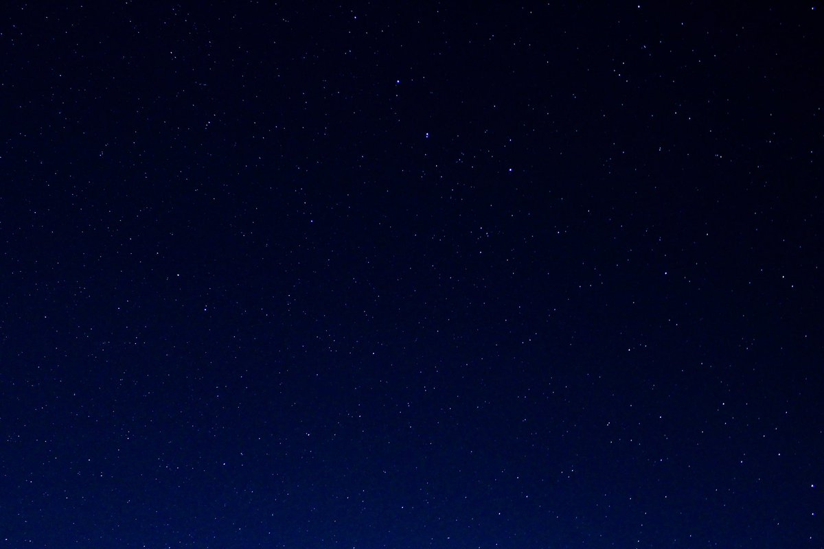 backyard photoshoot with the new camera (: