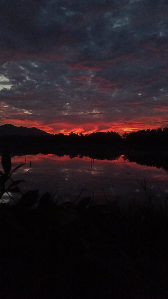 ZayneCal's tweet photo. "Fire" beyond the horizon https://t.co/GyoxSVQ5tG