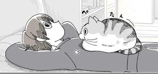 @kyuryuZ うちのコこれやってくれないからめちゃくちゃうらやましい💕
お腹の音聞かせてみたい😆 