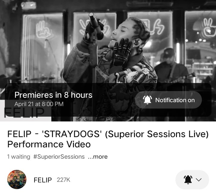 _siwperiors's tweet photo. FELIP - 'STRAY DOGS' (Superior Session Live) Performance Video premieres tonight at 8pm. 🐾 

📌 𝐅𝐄𝐋𝐈𝐏 𝐘𝐓 
🔗https://t.co/NEcN2MYBtr

UPDATED TAGS: 
#FELIP #FELIP_COMPLEXlive 
#FELIP_STRAYDOGS @felipsuperior

 #SIWPERIORS https://t.co/Tf8mzRp9It