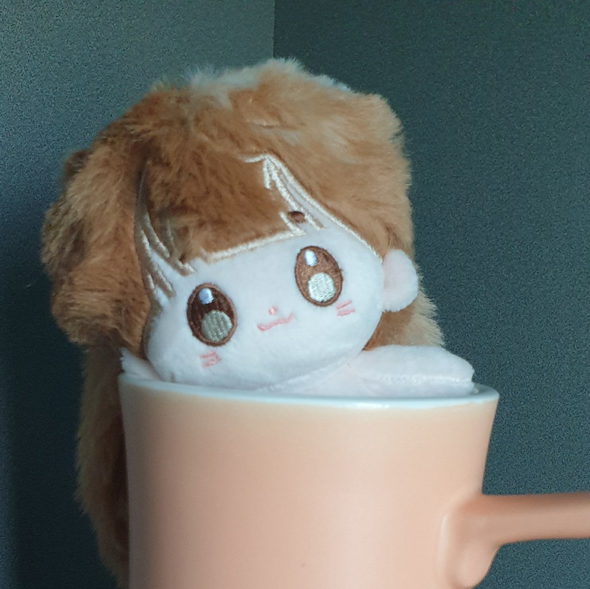 GGorangzee's tweet photo. 웃는 표정으로 날 꼬신 첫 포리
  라떼인가?                                  (라떼)포리지렁!
#밍맹묭 https://t.co/YmDTbxi17f