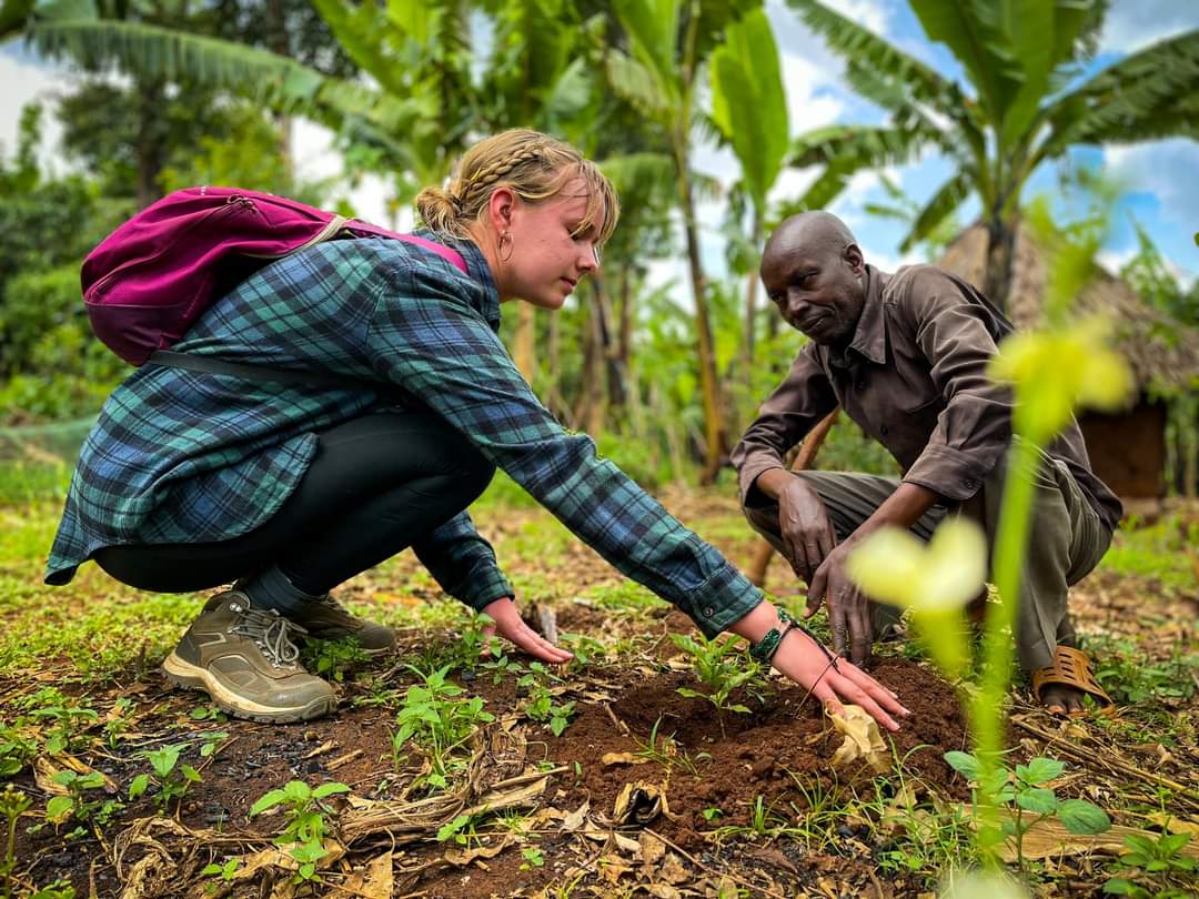 bakora_moses's tweet image. Planting trees is every one&apos;s responsibility! As #tourists come visiting, let&apos;s encourage them to join our campaign to plant #trees to save #nature
No matter where you are; just plant that one tree!
Photo: #JumaChebet 
#AquaTreeProject
#Plant2023