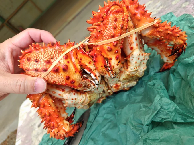キャンプ!前菜にカニ…?! 