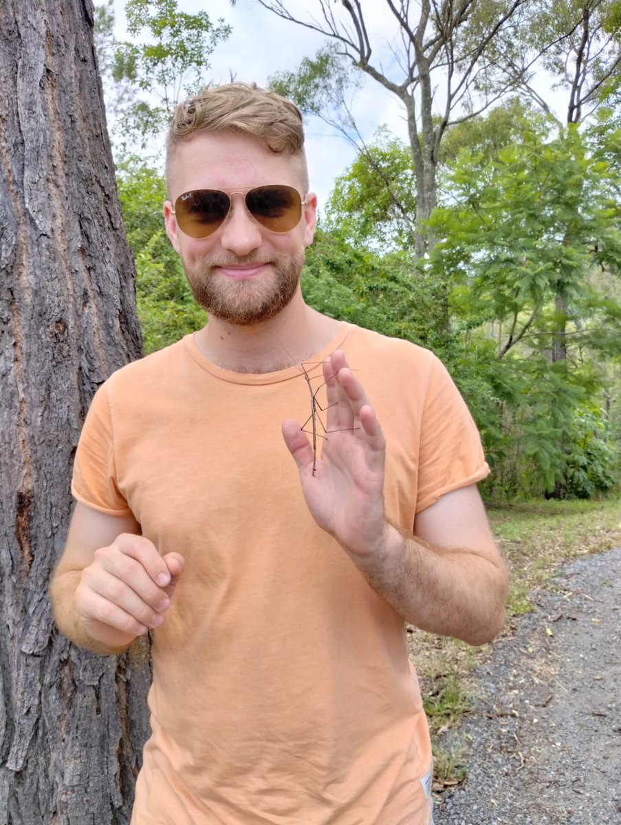 Imagine you study stick insects and when you walk outside a stick insect lands on your shoulder within 5 minutes! 🥰 Either I looked like something to mate with or I’m a tree. 

#phdlife #PhD #insects #wildlife #nature #life