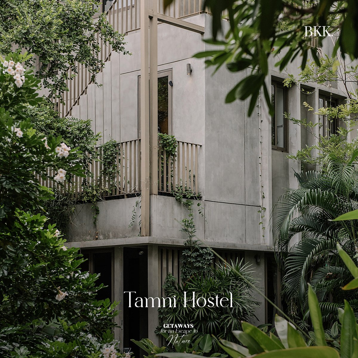 bkkmenu's tweet image. ชวนหลบร้อนมาพักผ่อนแบบ Staycation กับ 8 ที่พักใกล้ชิดธรรมชาติ เดินทางไม่ไกลจากกรุงเทพฯ
.
bit.ly/3UVUaku
.
#bkkmenu  #wheretostay #travel #nature #staycation #getaways #retreat