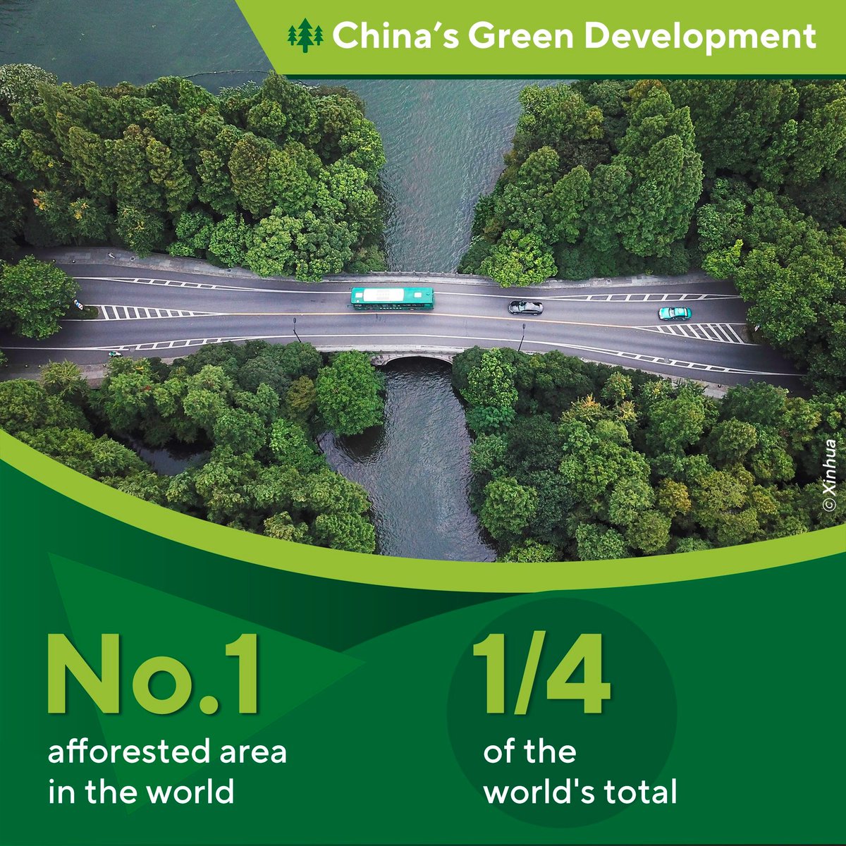 Green is gold. #Chinarama #GreenDevelopment