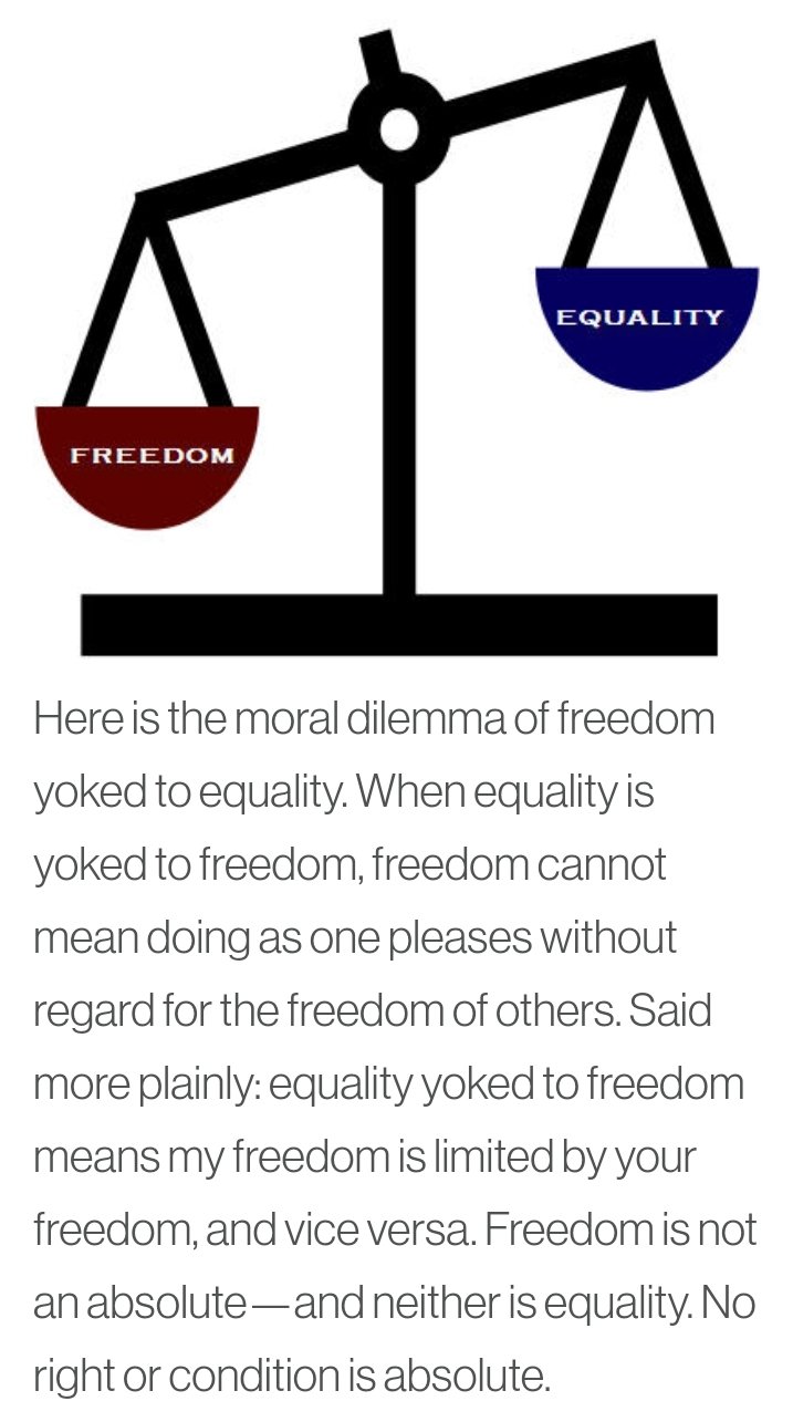 Bangtan Library⁷ on "Freedom can be seen as yoked to equality. Or, as Kant saw it, true freedom is to realize the moral good. Freedom without self-control can lead