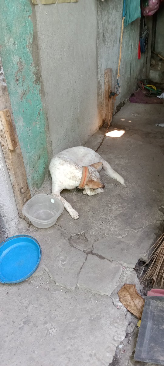 weencalvey's tweet image. huyyyyy, dumalaw kami sementeryo nanghiram kami susi tapos nakita ko ’to 😩