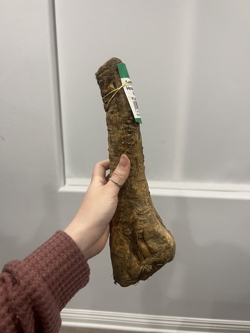 1 pic. I didn’t know horseradish looked like this ? https://t.co/s5bTw7KW6r