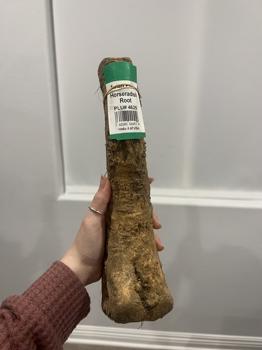 2 pic. I didn’t know horseradish looked like this ? https://t.co/s5bTw7KW6r