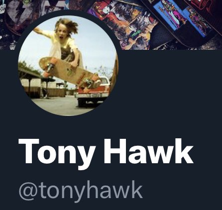 tonyhawk photo