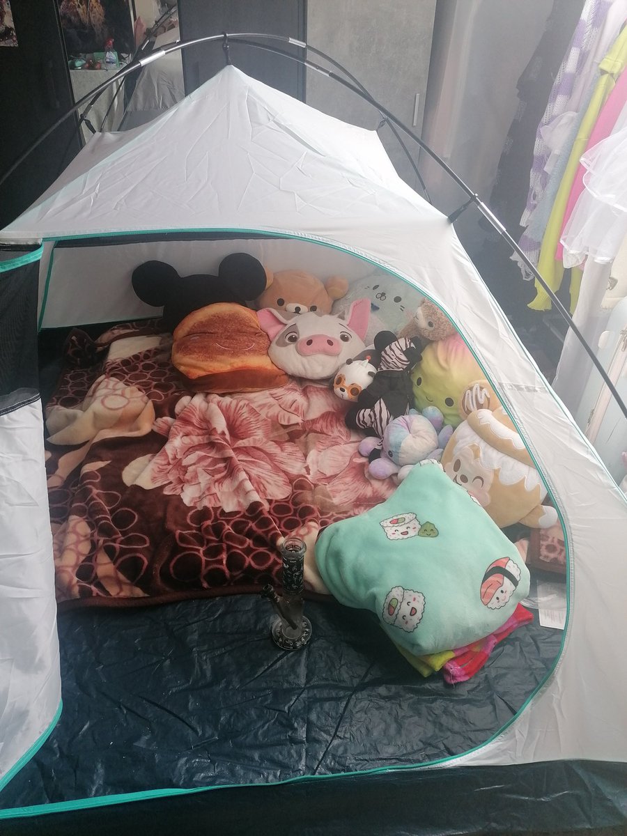 gamerbabe420's tweet photo. Another successful #420day

I slept like a baby. 
 #selflove #420friendly #gamergirl #princess #goddess #stoner #coquette #onlyfans #femmeboy #nonbinary #theythem #gamer #cannabisculture #stonernation #onlyfans #plush #camping https://t.co/vm75PMdQeD