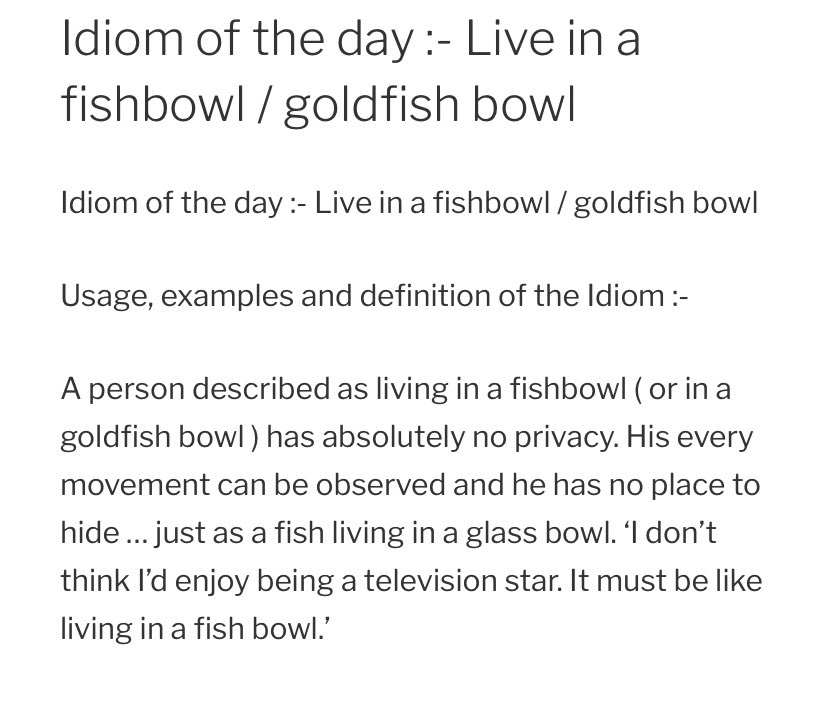 i love the symbolism in this so much, the whole idiom “live in a fishbowl”, Here hes like laughing at himself he realizes the fish is living the same way he is. He cant escape being observed, so he sits observing himself