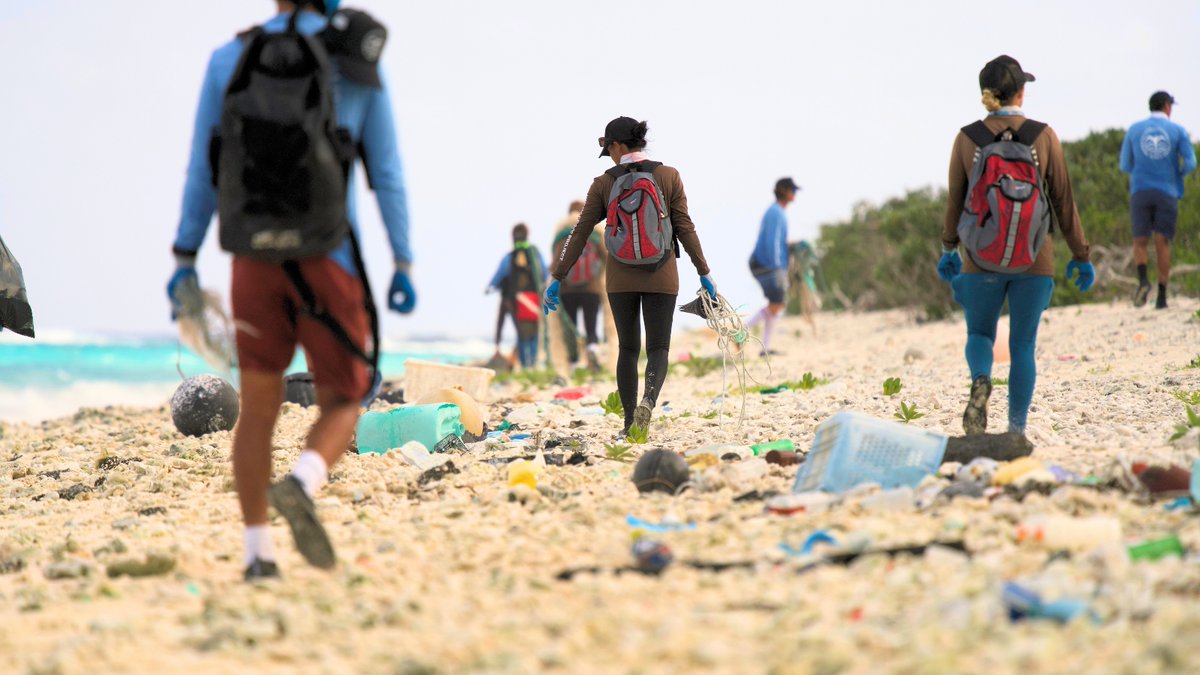 NOAA Sea Grant tweet media